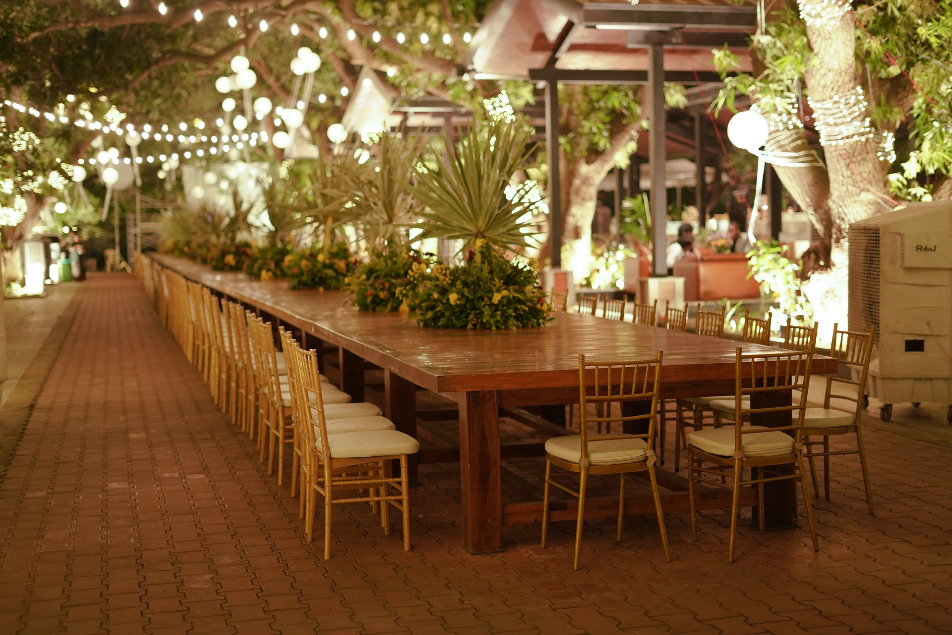Fairy lights and tropical plants decorating Hanu's Table
